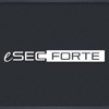eSecForte Technologies Logo