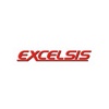 EXCELSIS Logo
