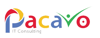 Pacavo IT Consulting Logo