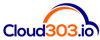 Cloud303 Logo