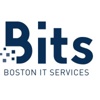 Boston IT Services Inc Logo