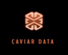 Caviar Data Logo