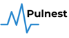Pulnest Software Logo