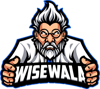 WiseWala Web Design Logo
