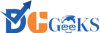 Digigeeks Logo