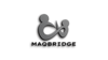 Maqbridge Logo