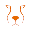 Acinonyx Web Agency Logo