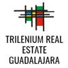 Trilenium, S.A. De C.V. Logo
