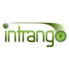Intrango Web Design Logo