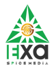 ExaSpice Media Logo