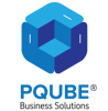 PQube Business Solutions Logo
