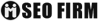 SEO Firm Virginia Beach Logo