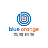 Blue Orange Logo