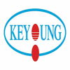 Keyoung Information Ltd. Logo