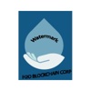 H2O Blockchain Corporation Logo