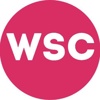 Web Solutions Company Logo