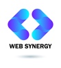 Web Synergy Logo