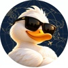 300 Ducks Digital Logo