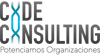 CODE Consulting Logo