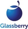 Glassberry IT Solutions Pvt Ltd Logo