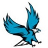 Falcon Online Services Logo