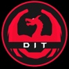 Dragon Institute of technologies Logo