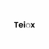 Teiox IT solutions Logo