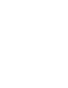 Wyvern Security Logo