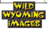 Wild Wyoming Images Logo