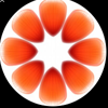 21Petals Logo