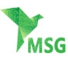 MS Group Logo