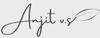 Anjit VS Writing Services Logo