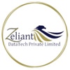 Zeliant DataTech {Data Entry India} Logo