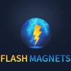 Flash Magnets LLC Logo