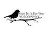 From Britt's Eye View Photography Logo