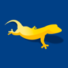 Gecko Designs Logo