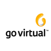 GoVirtualMx Logo
