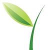 Green Vine Marketing Logo