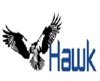 Hawk Consultants, LLC Logo
