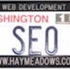 Hay Meadows SEO Logo