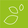 Hayas Logo