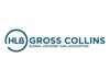 HLB Gross Collins, P.C. Logo