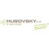 hubovsky.net Logo