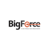 Big Force Logo