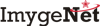 Imyge Net Logo