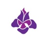 Iris Media Logo