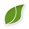 Lima Bean Logo