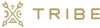 Tribe Interactive, LLC Logo