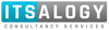 ITSALOGY CONSULTANCY SERVICES PVT LTD Logo