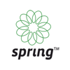 Spring Technologies Logo